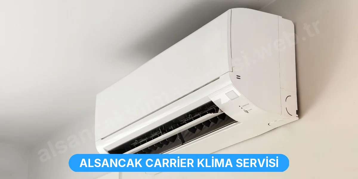 Alsancak Carrier Klima Servisi